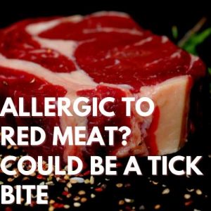 Allergic To Red Meat? Could Be A Tick Bite