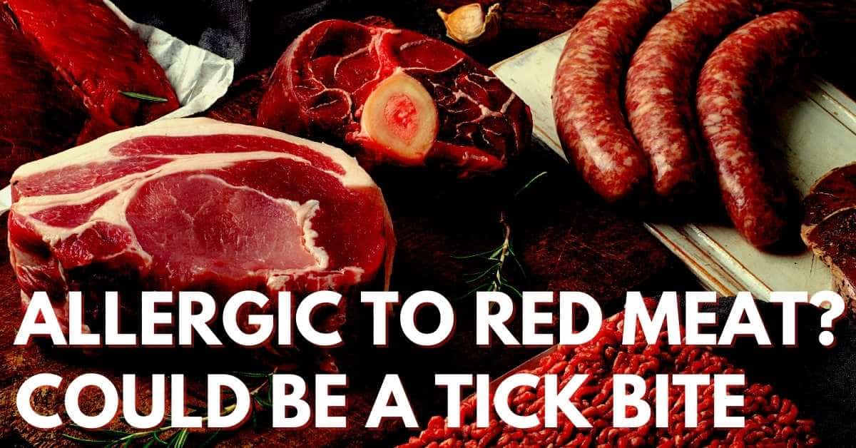 Allergic To Red Meat? Could Be A Tick Bite Stop Ticks