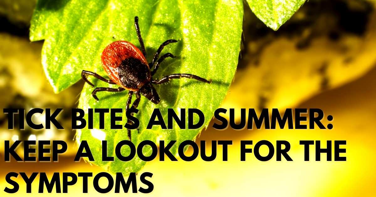 Tick Bites And Summer Keep A Lookout For The Symptoms Stop Ticks