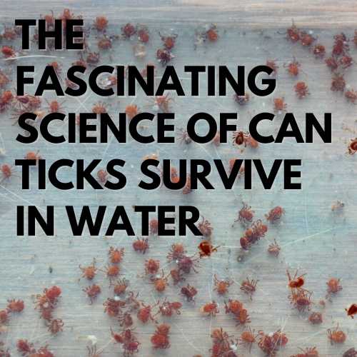 The Fascinating Science Of Can Ticks Survive In Water