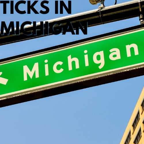 Ticks in Michigan