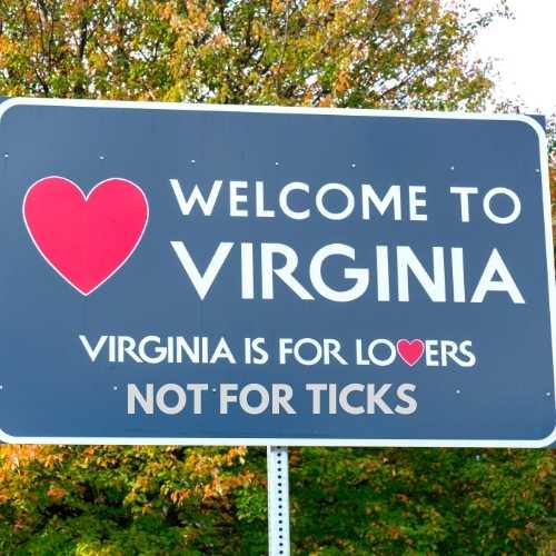 Ticks in Virginia