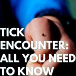 Tick Encounter: All You Need To Know