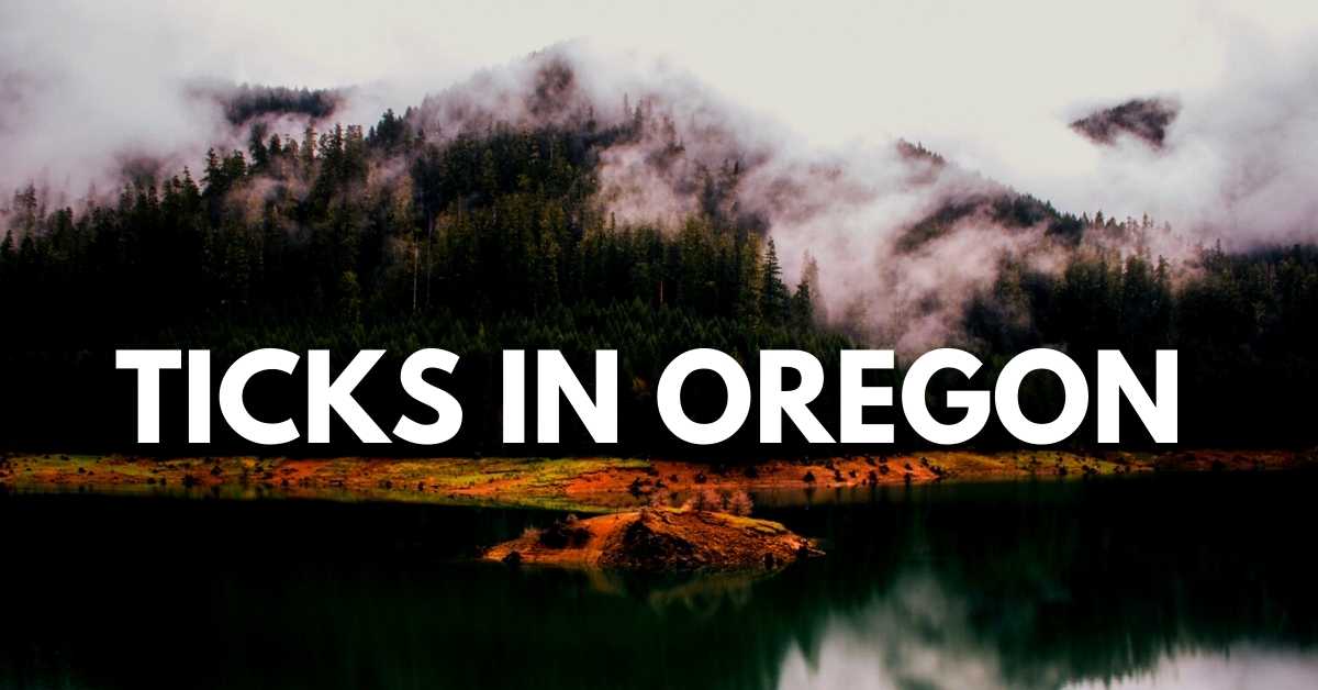 Ticks in Oregon Stop Ticks