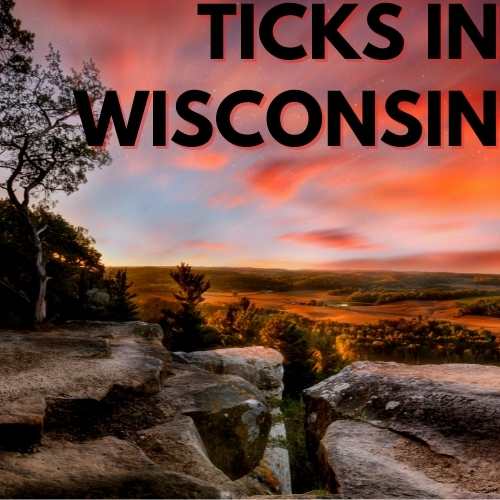 Ticks in Wisconsin