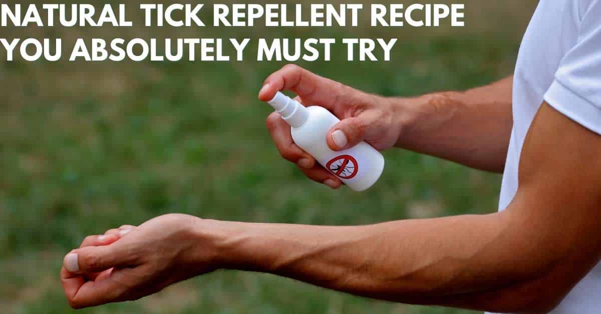 Natural Tick Repellent Recipe You Absolutely Must Try Stop Ticks