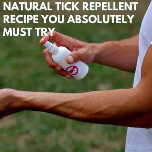 Natural Tick Repellent Recipe You Absolutely Must Try